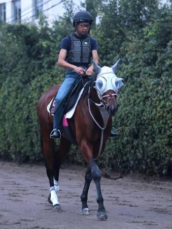 【関屋記念】イミグラントソング　再輝　古馬との初対戦も若さ武器に突破だ！　前走では落胆の１１着