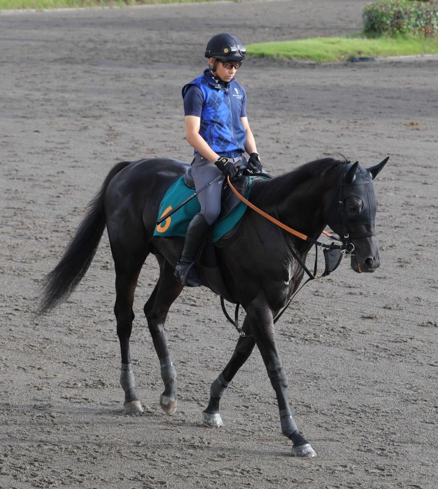 　ペルウィクトール