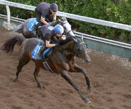 　復活へ向けて準備を整えたヤマニンウルス（手前）＝撮影・中田匡峻