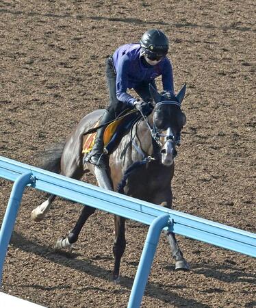 　我慢を利かせてスムーズに加速したボンドガール（撮影・持木克友）