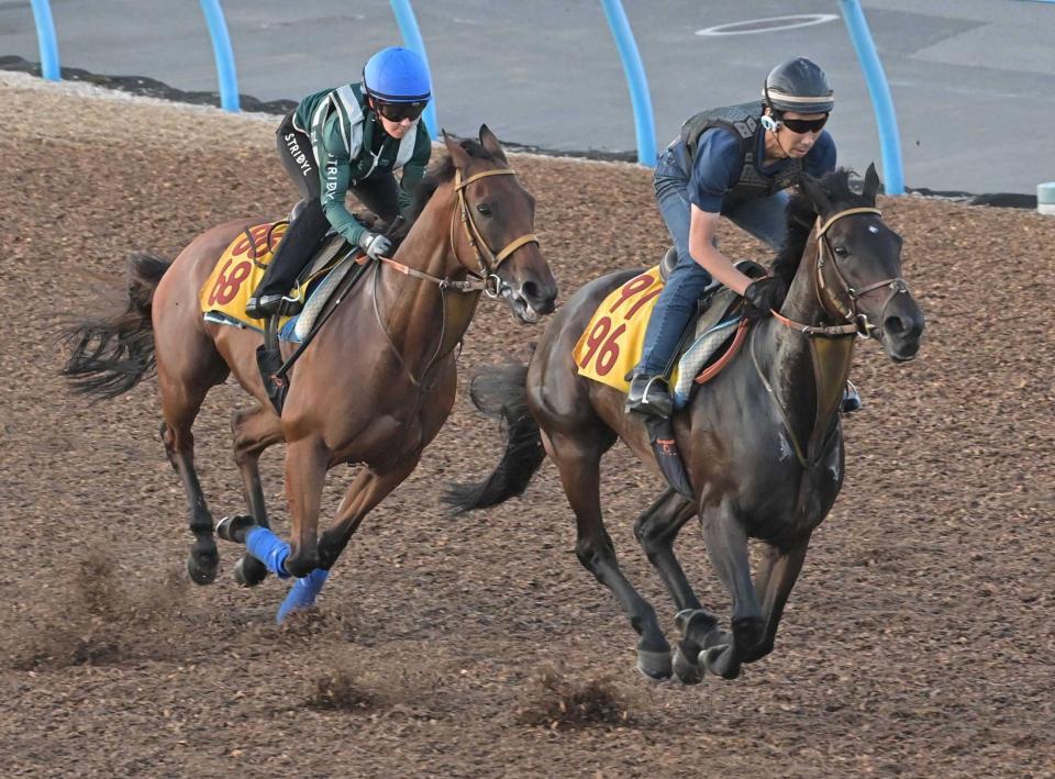　キングを背に美浦Ｗで力強い動きを見せたカナテープ（左）