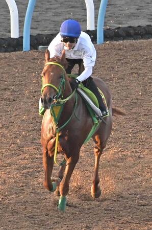 【新馬戦】ラプランセス　祖母はＧ１馬・レジネッタ　センスは高評価　相田助手「日に日に落ち着きが出てきた」