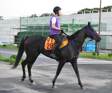 　ペリファーニア