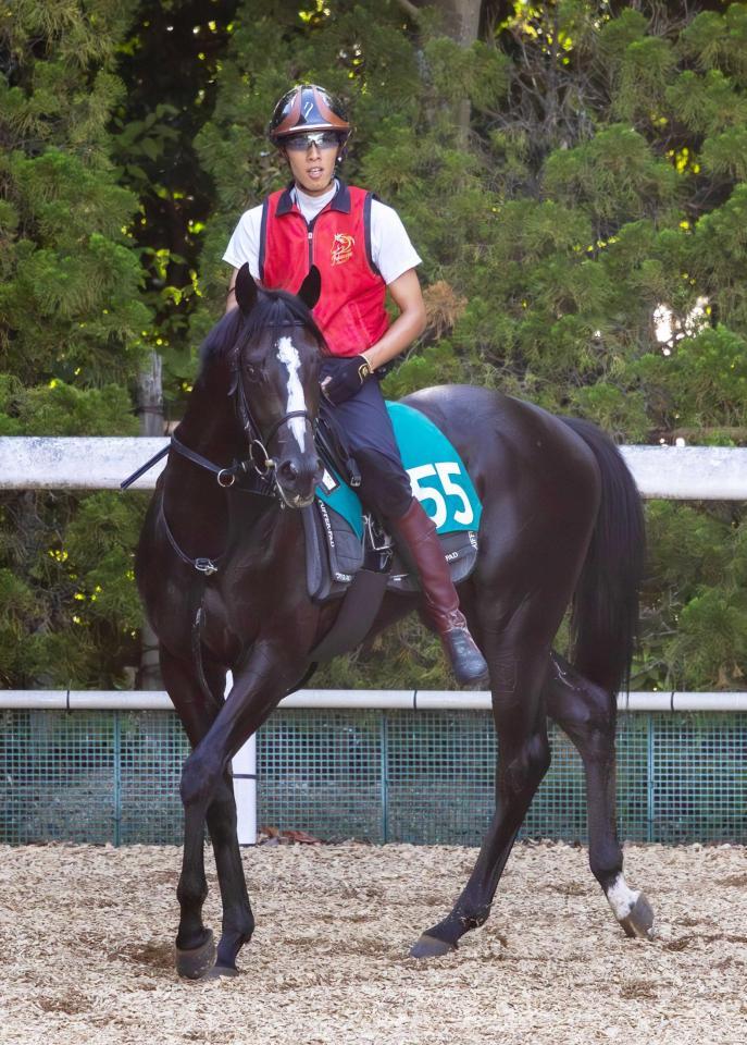 　福永師の期待も大きいコントレイル産駒のダノンセフィーロ