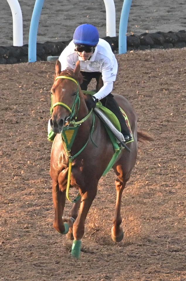 　桜花賞馬の祖母を持つ良血ラプランセス