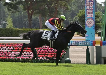 　新潟２Ｒを勝ったゾロアストロ（撮影・持木克友）