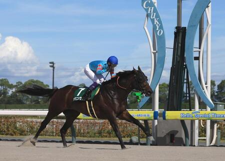 　東海Ｓを制したヤマニンウルス