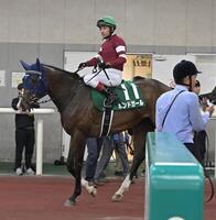 　２着に敗れたボンドガール（撮影・持木克友）