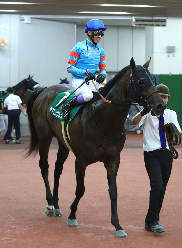 　東海Ｓを制したヤマニンウルスと武豊