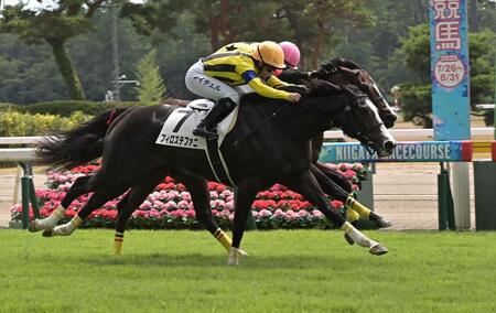 　新馬戦を勝ったフィロステファニ（手前）＝撮影・持木克友