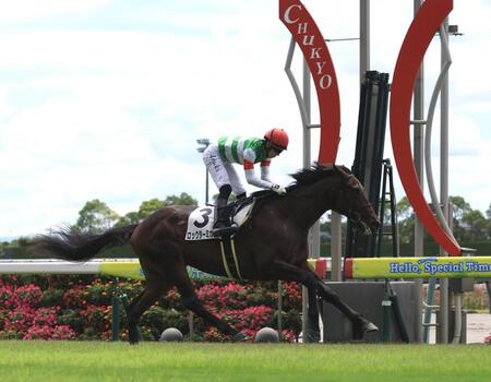 　新馬戦を制したロックターミガン