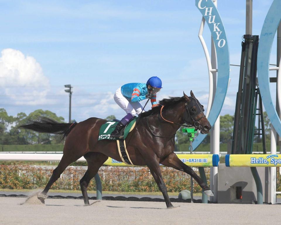 　鮮やかに抜け出したヤマニンウルス