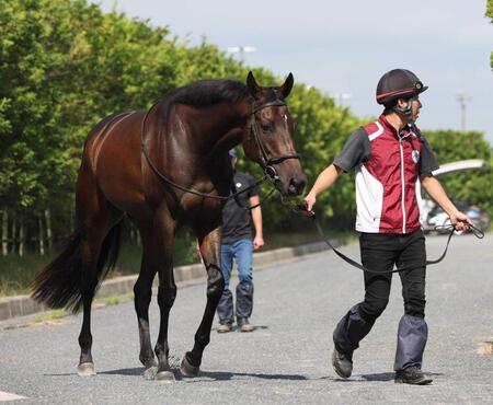 　昨年３着の雪辱を目指すアルジーヌ