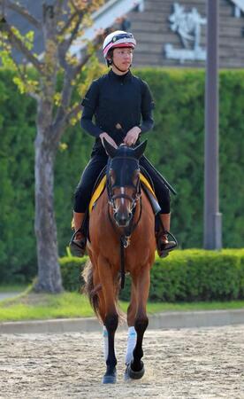 　重賞３勝目を狙うピューロマジック