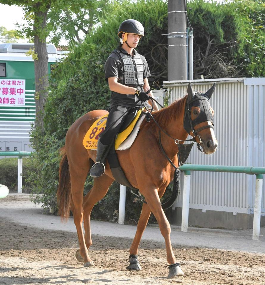 　コラソンビート