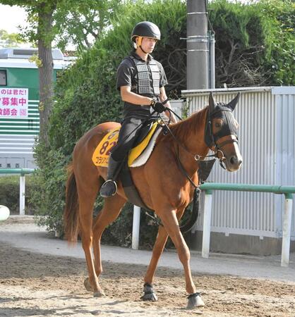 　コラソンビート