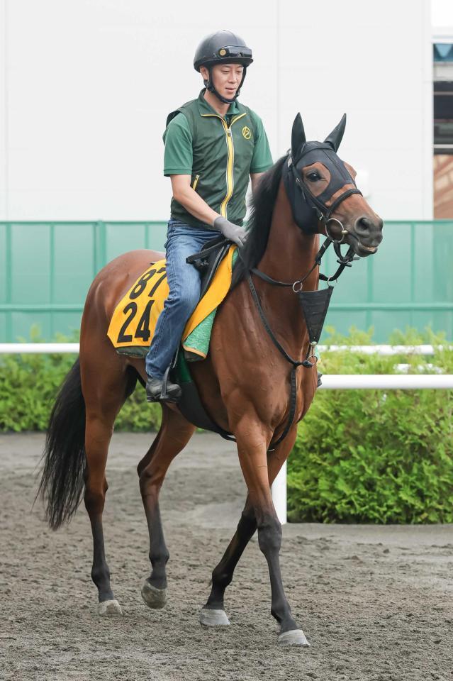 　２度目の重賞挑戦となるココナッツブラウン