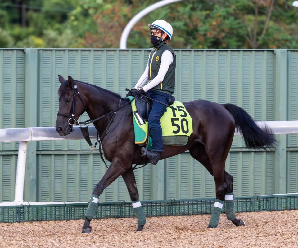 　運動するウィズクィーン