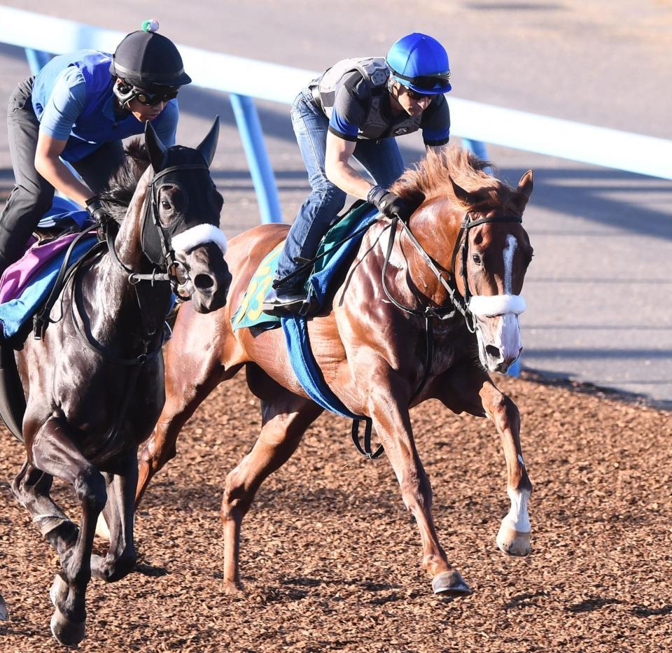 　ルメールを背に、美浦Ｗで併せ馬を行うプロメサアルムンド（右）＝撮影・園田高夫