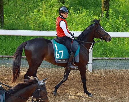 コントレイル産駒・サガルマータが９月７日・阪神５Ｒでデビュー予定　２３年セレクトセールで５億２０００万円