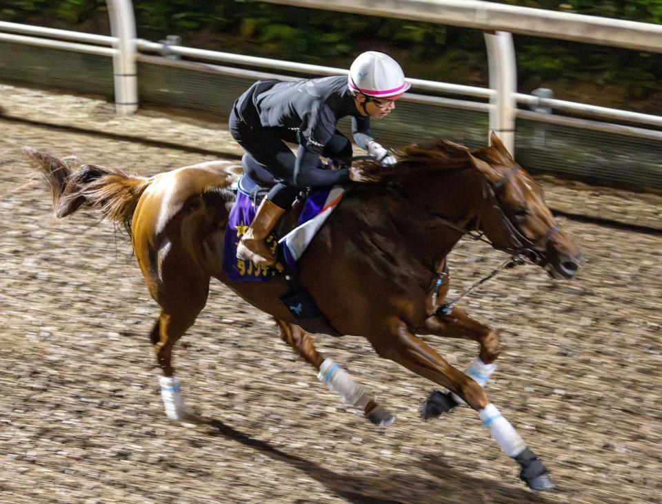 　海外Ｇ１に向けて追い切るダノンデサイル