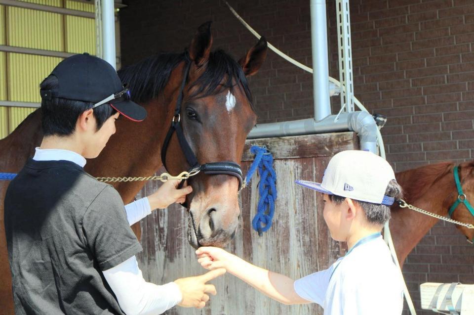 　馬にニンジンをあげる体験をする参加者 