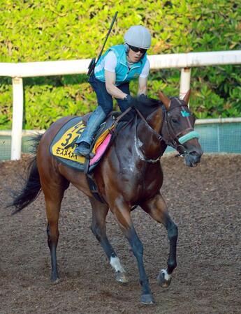 　連覇を狙うモズメイメイ