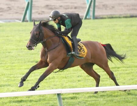 　札幌芝で活気あふれる走りを見せたアリスヴェリテ