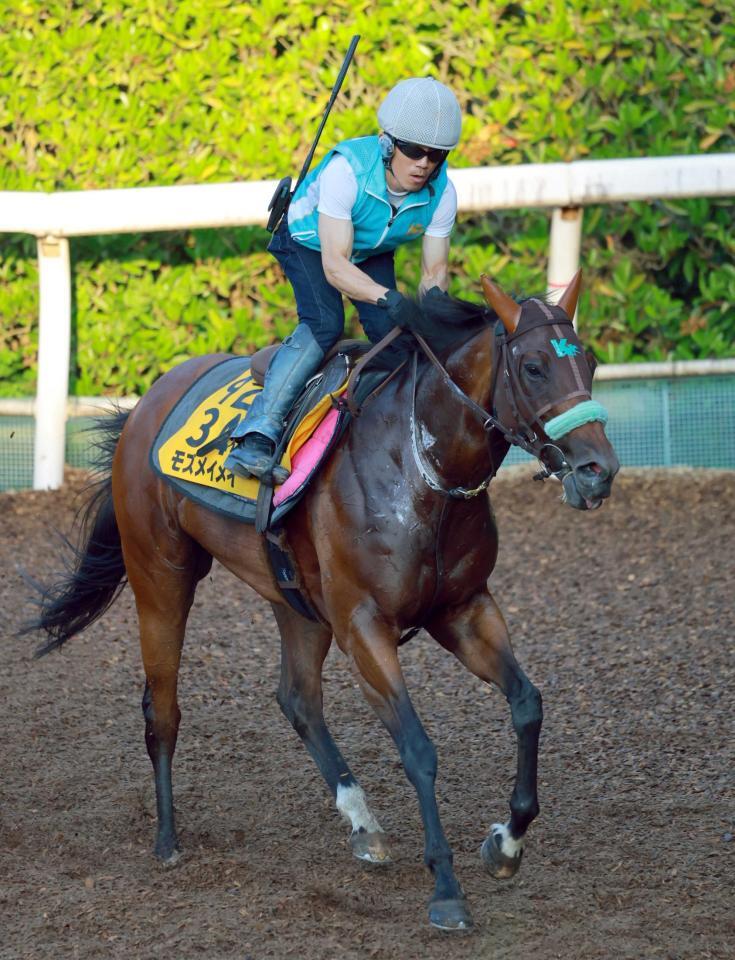 　連覇を狙うモズメイメイ