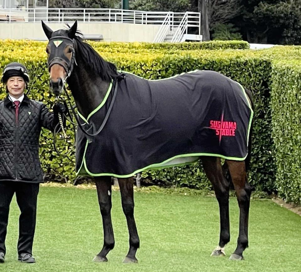 　トワイライトシティ