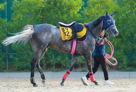 テイエムスパーダ