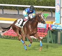 １１Ｒ３歳未勝利を勝ったイスラコラソン＝新潟競馬場（撮影・持木克友）