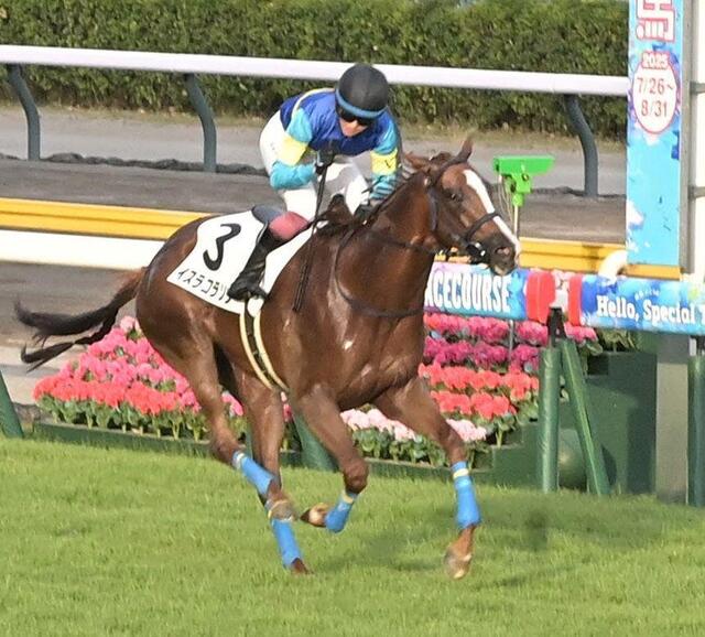 今村聖奈騎手が“直千競馬”で内ラチ沿いから勝利 「枠が出た時点で開幕