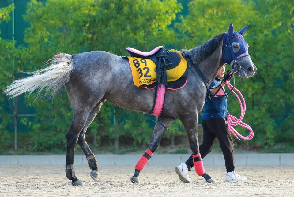 テイエムスパーダ