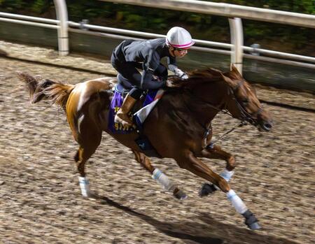 ダノンデサイルが国内最終追い　安田師「上手に過ごせました」　英インターナショナルＳ参戦