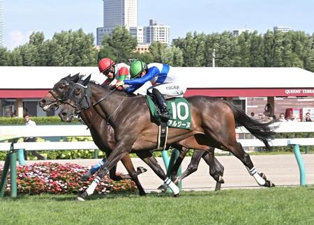 　クイーンＳを制したアルジーヌ（撮影・持木克友）
