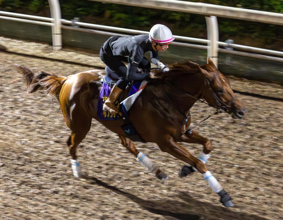 　ダノンデサイル