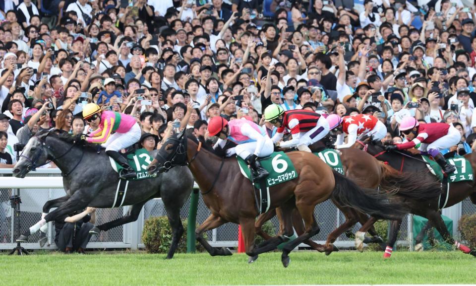 　内からテイエムスパーダ（左）を差し切ったピューロマジック（中央）