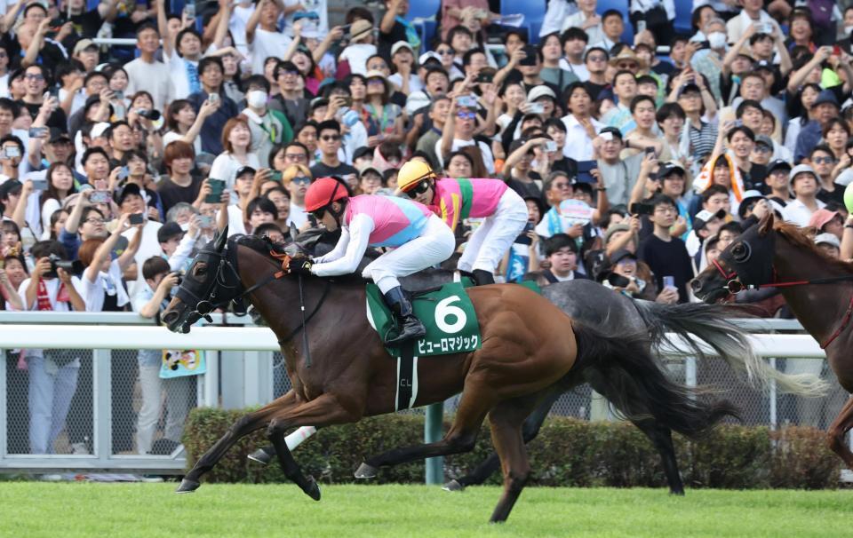 　内からテイエムスパーダを差し切ったピューロマジック（手前）