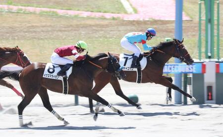 　イナズマダイモンを振り切ったチャチャコマニ（右）