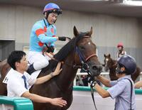 　デビュー戦を勝利したチャチャコマニ。左は佐藤悠太調教師　