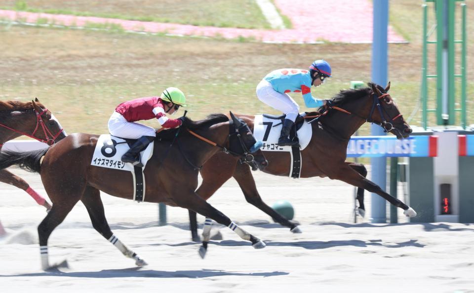 　イナズマダイモンを振り切ったチャチャコマニ（右）