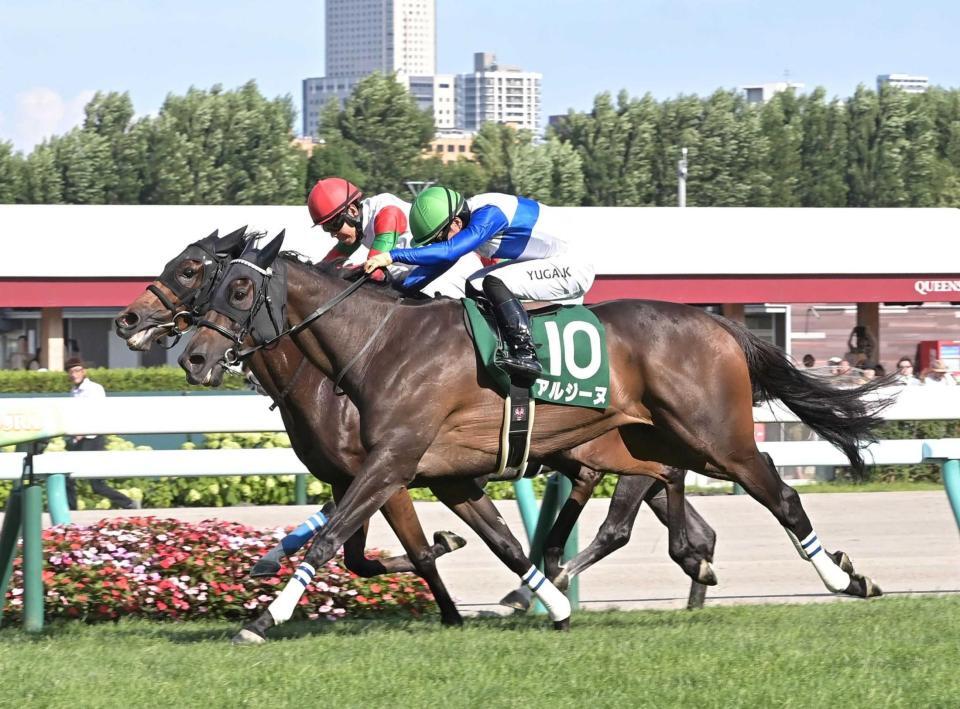 　クイーンＳを制したアルジーヌ（撮影・持木克友）