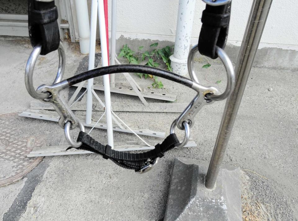 　本領発揮を狙うシュトラウスが新たに使用する「ピーウィービット」