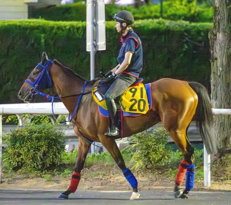 　データ班がイチ推しするベガリス