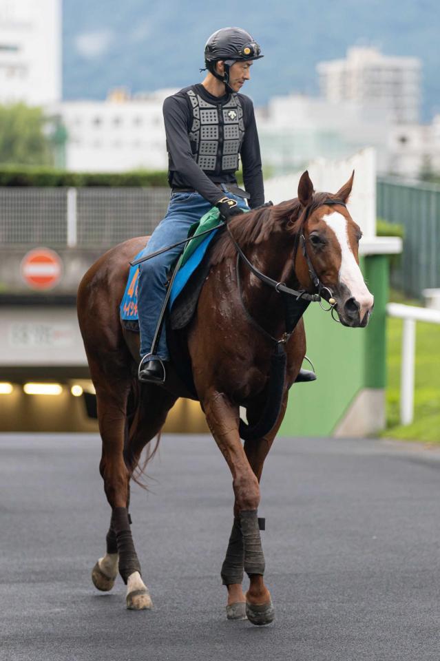 　連覇を狙うペイシャエス
