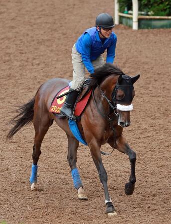 　ステレンボッシュ