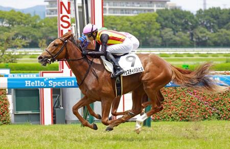 　新馬戦を快勝したフェスティバルヒル＝６月２２日