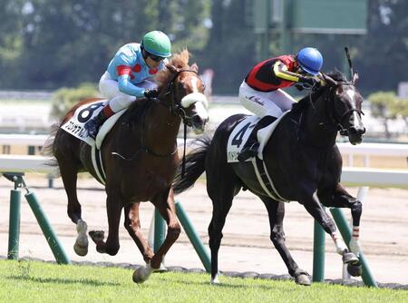 　デビュー戦を勝利したプロメサアルムンド（左）＝８月３日