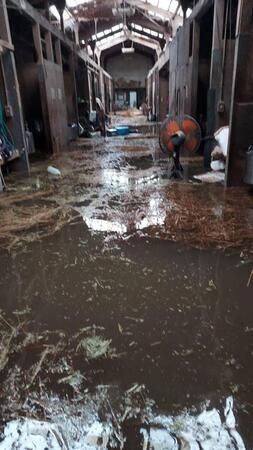 　記録的大雨の影響で水没した金沢競馬場内の厩舎（佐藤茂師提供）